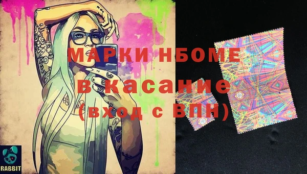 тгк Инсар
