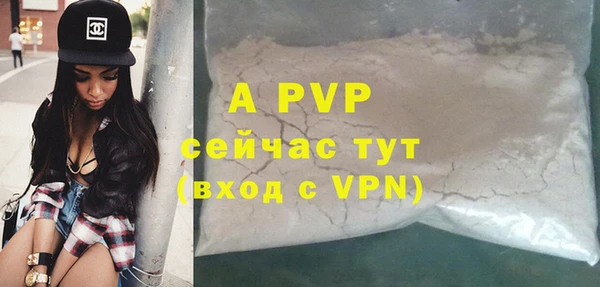 тгк Инсар