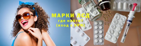 тгк Инсар
