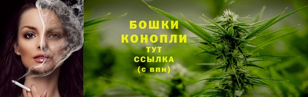 тгк Инсар