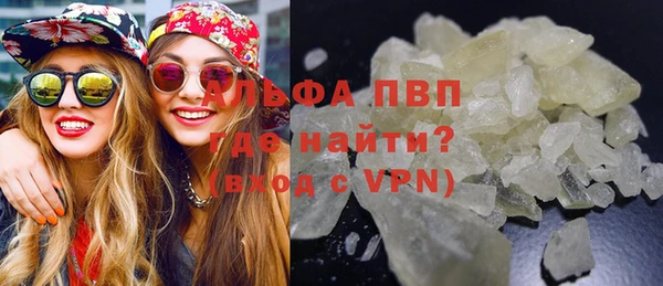 тгк Инсар