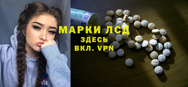 тгк Инсар