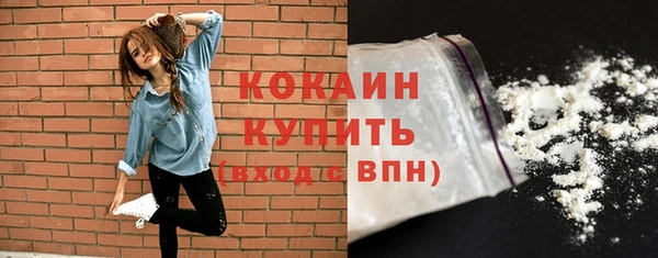 тгк Инсар