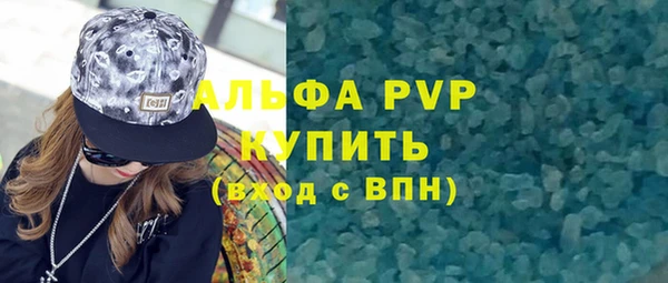 тгк Инсар