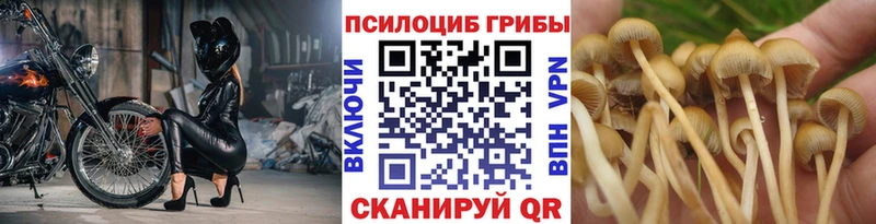 Купить закладки  Артём  Псилоцибиновые грибы ЛСД 